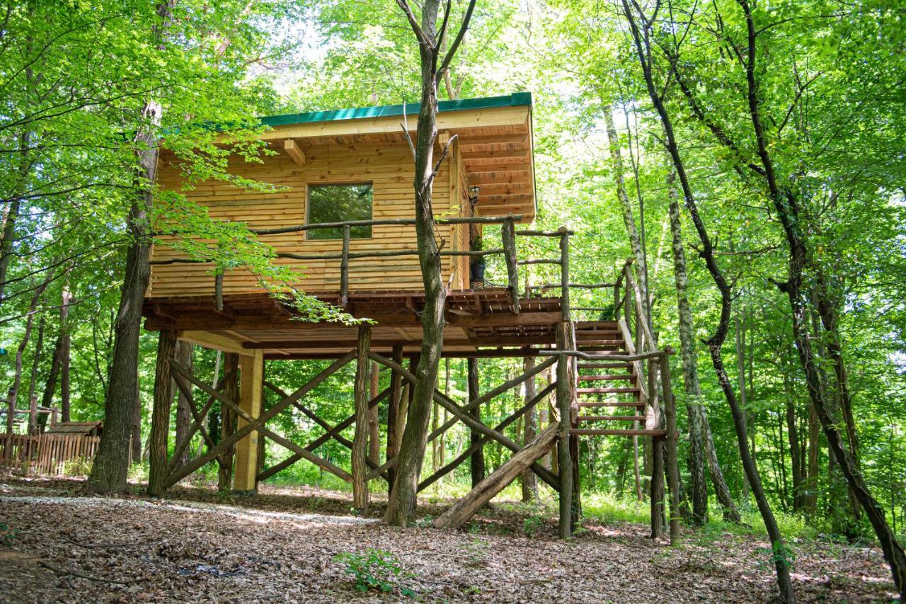Living Forest Resort Moravske Toplice Luaran gambar