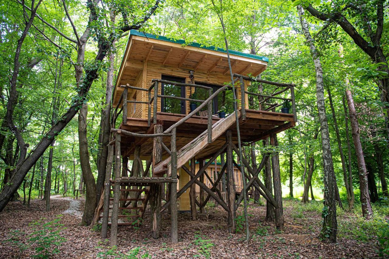 Living Forest Resort Moravske Toplice Luaran gambar
