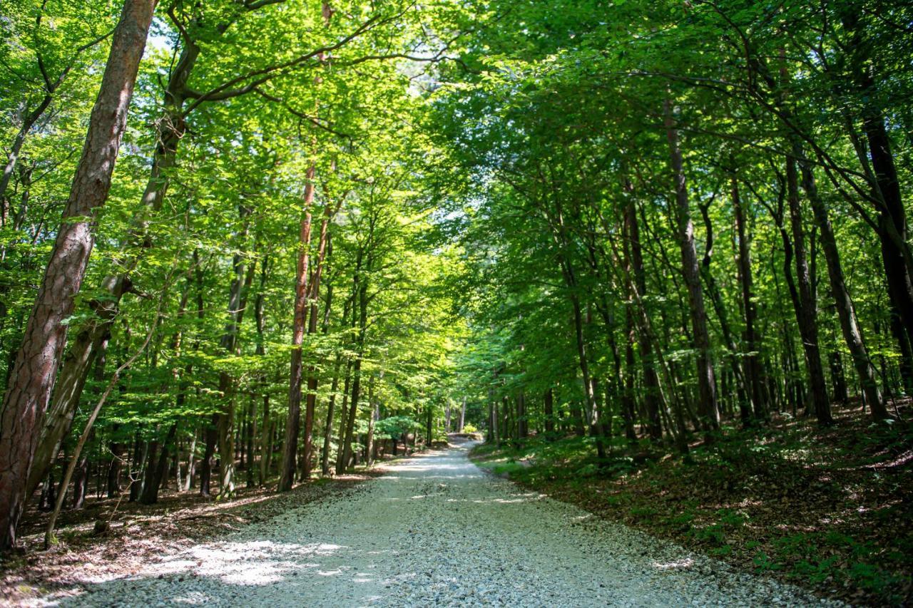 Living Forest Resort Moravske Toplice Luaran gambar