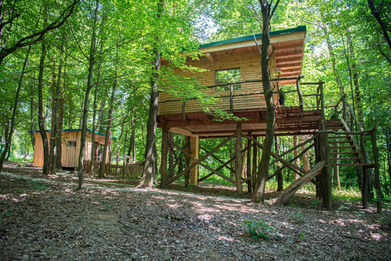 Living Forest Resort Moravske Toplice Luaran gambar