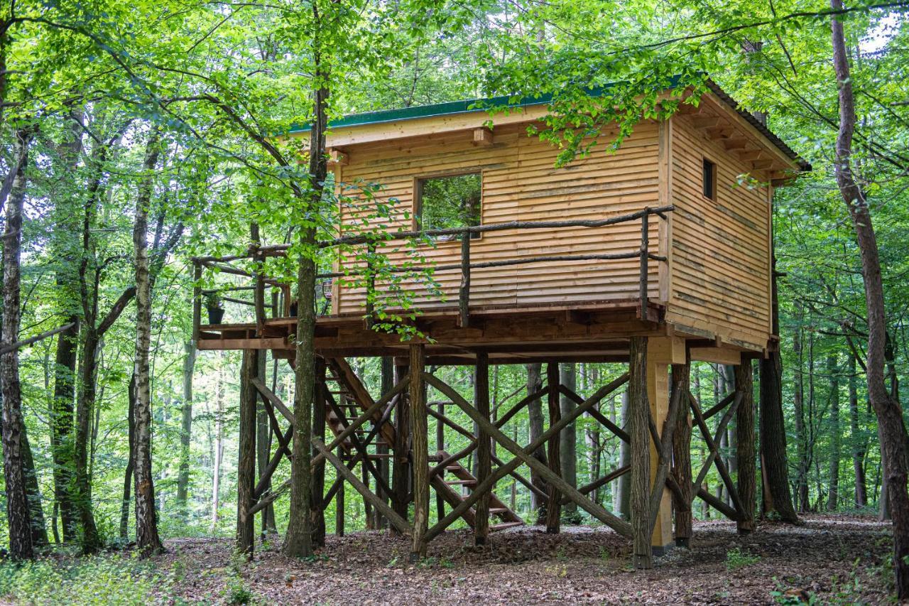 Living Forest Resort Moravske Toplice Luaran gambar