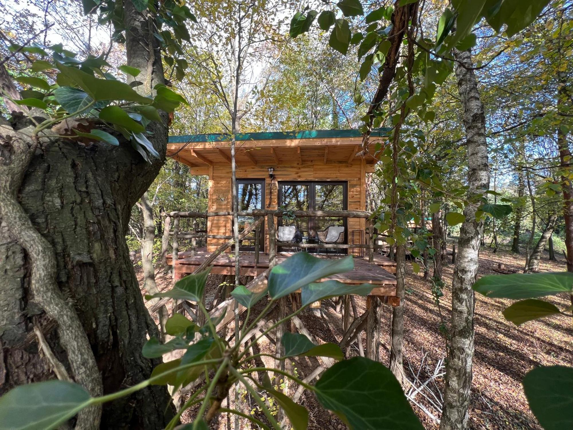 Living Forest Resort Moravske Toplice Luaran gambar
