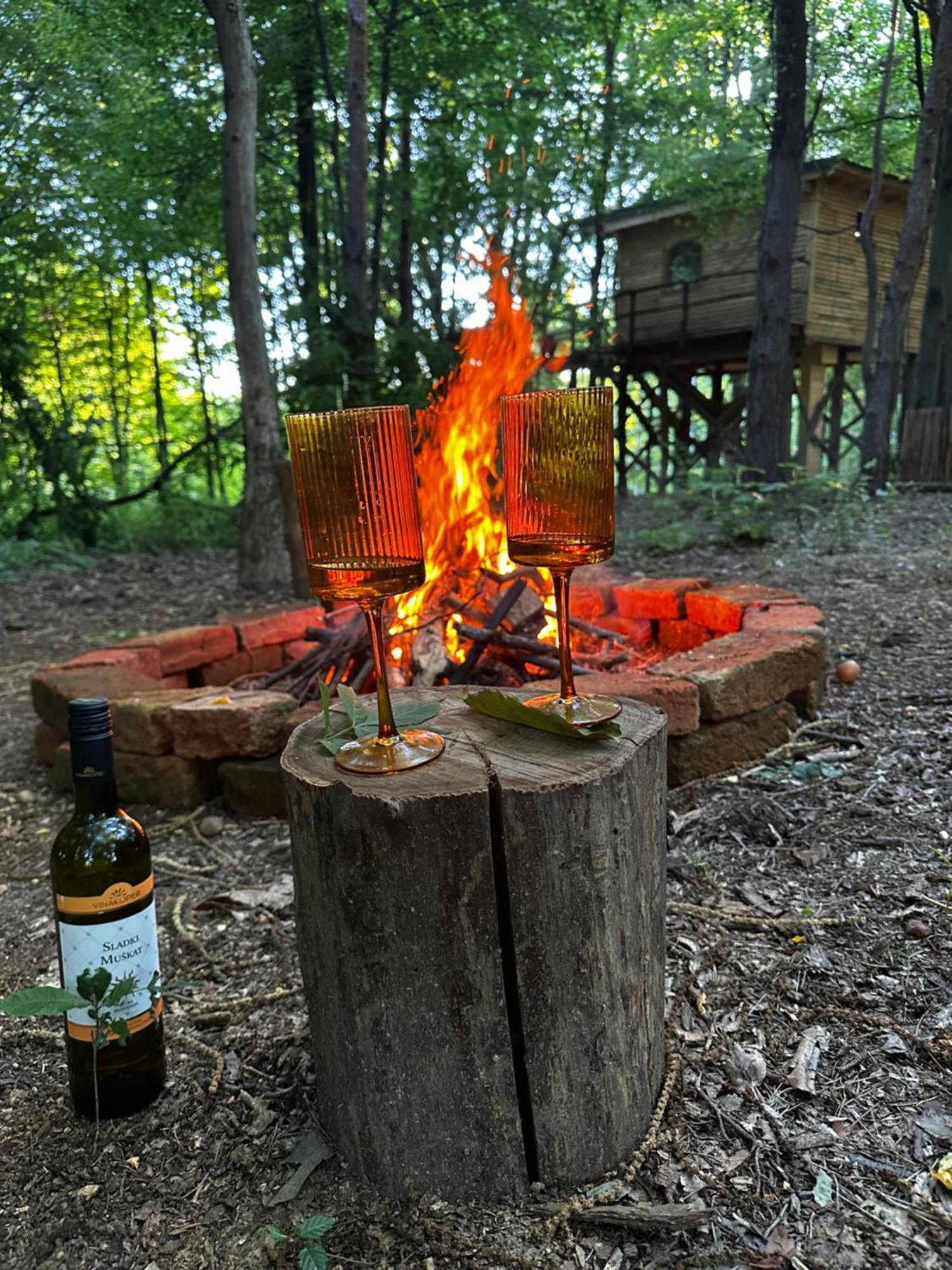 Living Forest Resort Moravske Toplice Luaran gambar