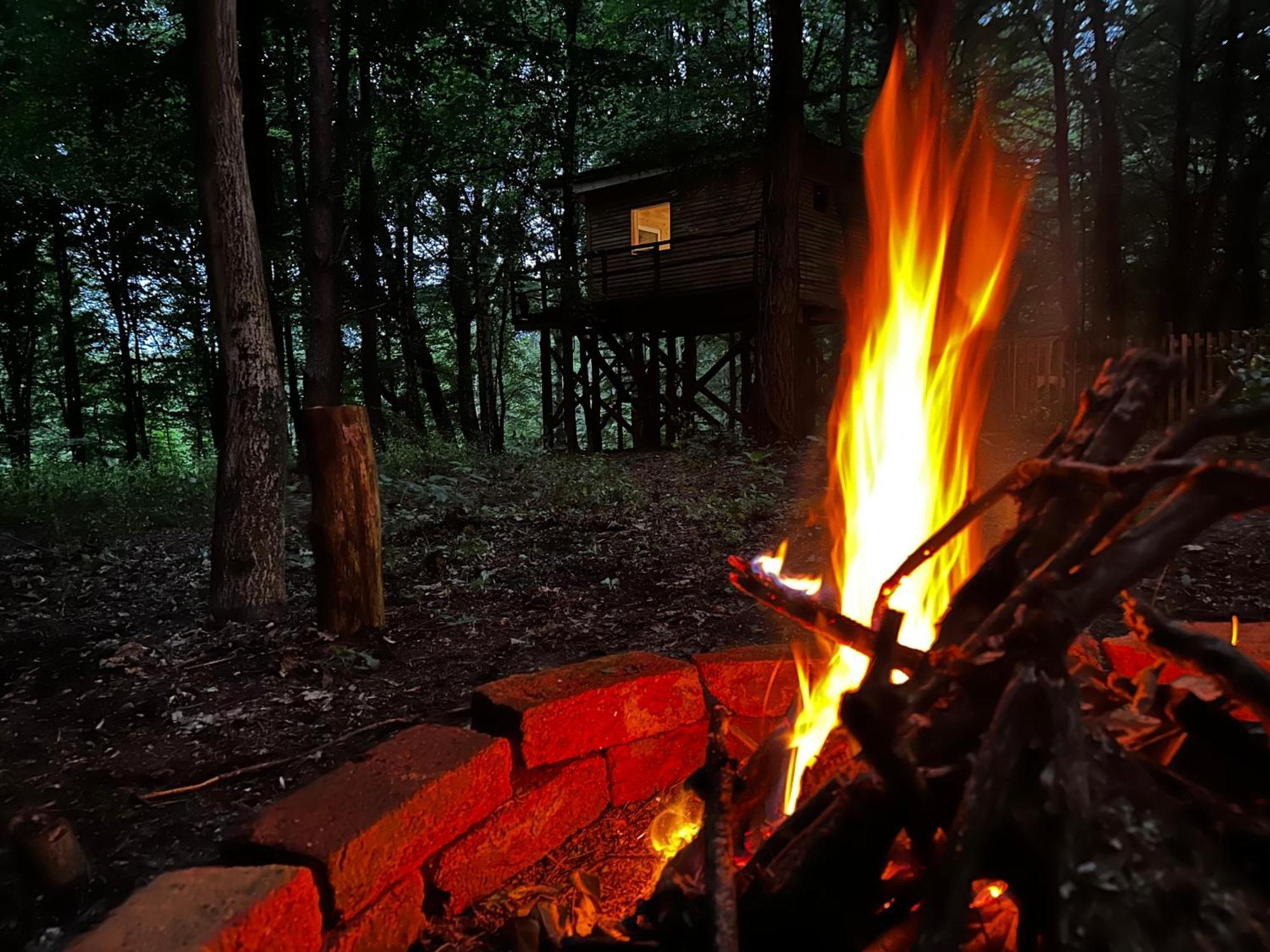 Living Forest Resort Moravske Toplice Luaran gambar